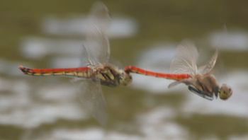 �A�L�A�J�l�Y�����āi�����j