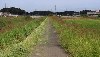 �����肳�ꂽ�y�蓹�i�x�m��j