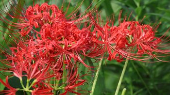 �q�K���o�i�i�x�m��j