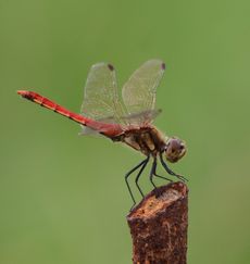 �A�L�A�J�l���i�O����j