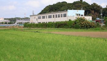 �Ђ��΂����L�т��c��ځi�O����j