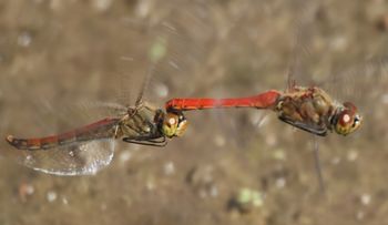 �A�L�A�J�l�Y�����āi��X���j