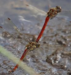 �A�L�A�J�l�Y���i��X���j