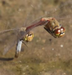 �A�L�A�J�l�Y���i��X���j