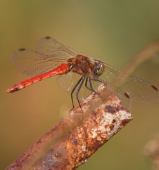 �A�L�A�J�l�����聉�i�O����j