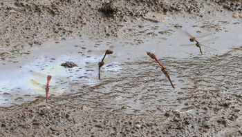 �����n�e�̐����܂�i��X���j