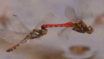 �A�L�A�J�l�Y�����āi��X���j