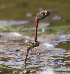 �A�L�A�J�l�œD�Y���i�����j