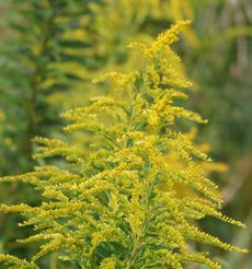 �A�L�A�J�l�Y���i��X���j