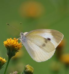 �A�L�A�J�l�Y���i��X���j