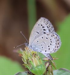 ���}�g�V�W�~�i�^�������j