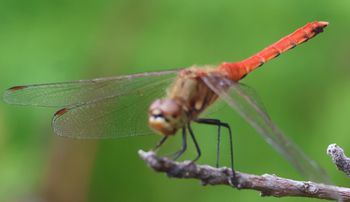 �A�L�A�J�l�i�^�������j