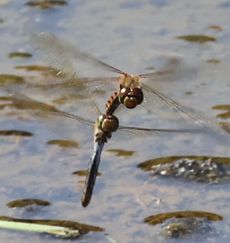 �A�L�A�J�l�Y���i�����j