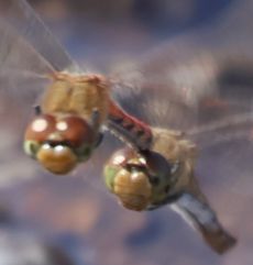 �A�L�A�J�l�Y���i�����j