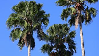 ���V�i��k�A�����j