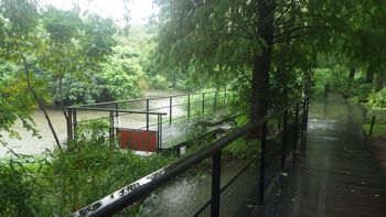 �X�ь����̒r�Ӂi����X�ь����j