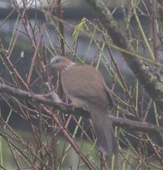 �x�j�o�g�i�m�сj