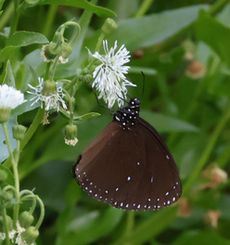 �}���o�l�����}�_���i�A�����j