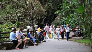 �X�|�b�g�̑�t�߂Ōe���n�C�J�[�i�G���jX