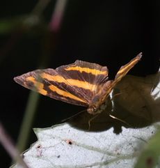 �L�~�X�W�i�M�������j