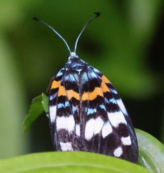 �T�c�}�j�V�L�i�M�������j