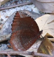 ���������W���m���i�M�������j