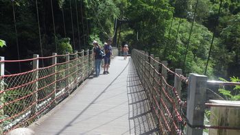 �M���݋��i�M�������j