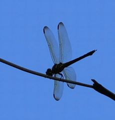 �������i�A�����j