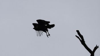 �J���������V�i�������j