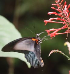 �i�K�T�L�A�Q�n�i�������j