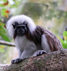 �^�}�����i�������j