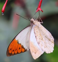 �c�}�x�j�`���E�i�������j