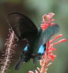 ���������A�Q�n�i�������j