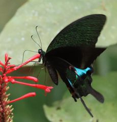 ���������A�Q�n�i�������j