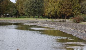 �Y���|�C���g�̐��Ӂi�����j