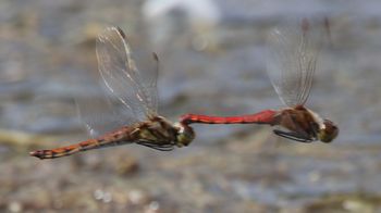 �A�L�A�J�l�Y�����āi�����j