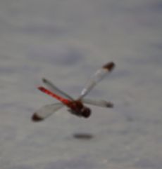 �����聉�i�����j