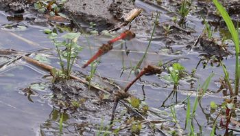 �A�L�A�J�l�Y���i���ؓ��jX