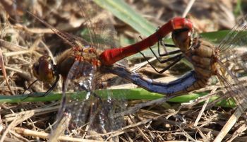 �A�L�A�J�l����i�����j