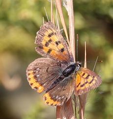 �x�j�V�W�~�i�ÊԖ؁j