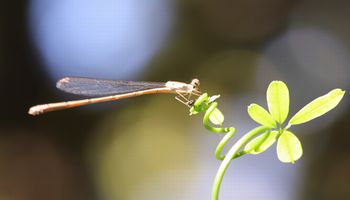 �z�\�~�C�g�g���{���i��X���j