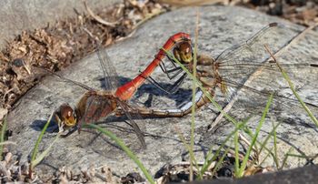 �A�L�A�J�l����i�����j