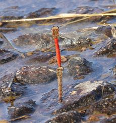 �A�L�A�J�l�E�œD�Y���i�����j