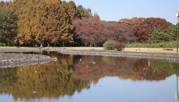 ���ӂ̎Y���|�C���g�i�����j