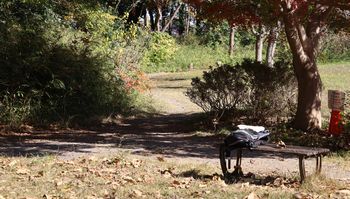 �z���܂�̃|�C���g�i���ؓ��j