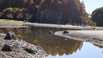 �Y���|�C���g�̐��Ӂi�����j