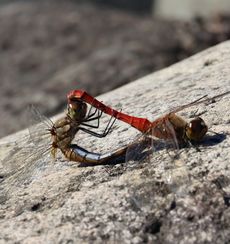 �A�L�A�J�l����y�A�i�����j