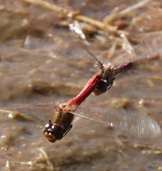 �A�L�A�J�l�Y�����āi�����j