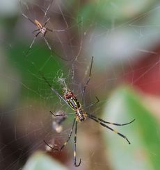 �W�����E�O���ԁi���ؓ��j