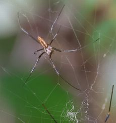 �W�����E�O�����i���ؓ��j